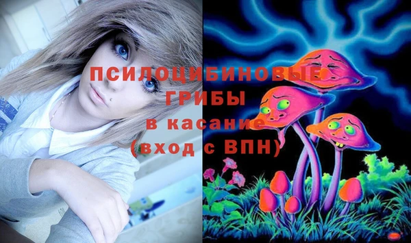 mix Осинники