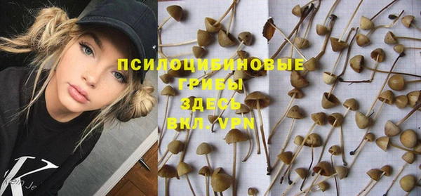 таблы Алексин